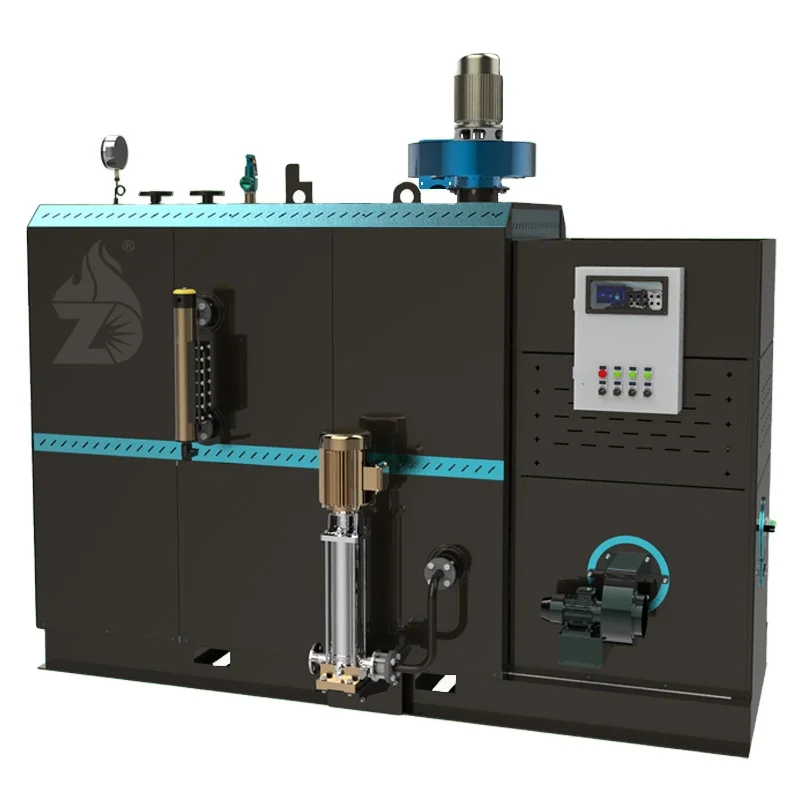 Biomass chain steam boiler 750kg/h low pressure reliable quality to adapt to the food factory