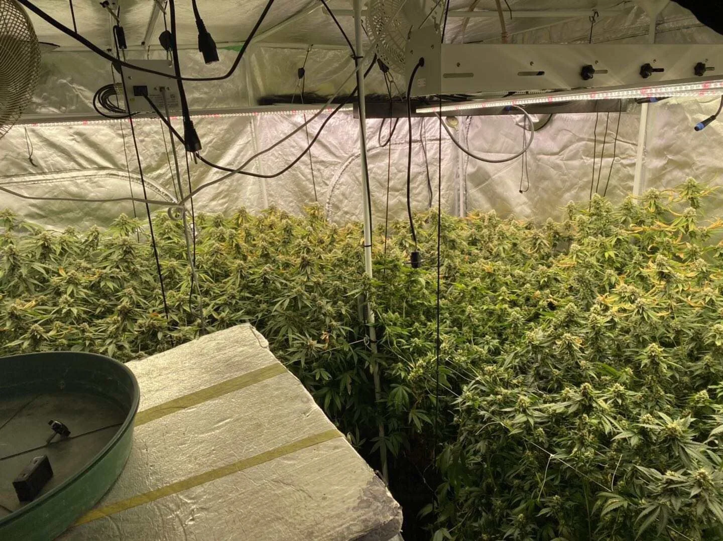 Shenzhen Professional Adjust Spectrum 8 Bars Lm301H Led Grow Strip Bar Light Grow Complete Kit Led