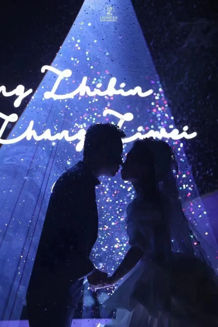 10W RGB Laser Show Projector Animation Laser Light Cinderella effect Animation Projector Dj Laser Light for Party Disco Club