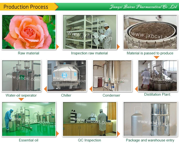 8007-01-0 Pure Rose Oil Rose Water Best Price Wholesale Essential Oil 1kg Fragrance Oil Rose Absolute