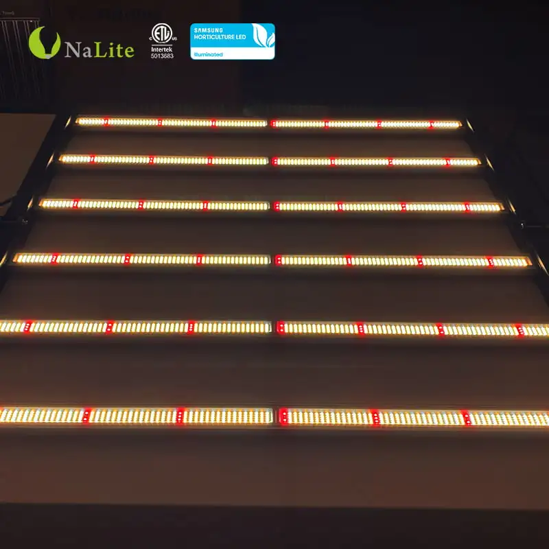 Brand LEDs and Driver 820w LED Light