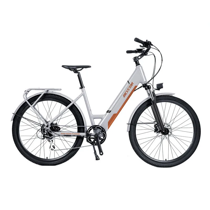 Alloy frame 250W 36V 10Ah Electric bike for lady,26 inch rear motor electric bicycle,cheap chinese electric bicycle china e-bike
