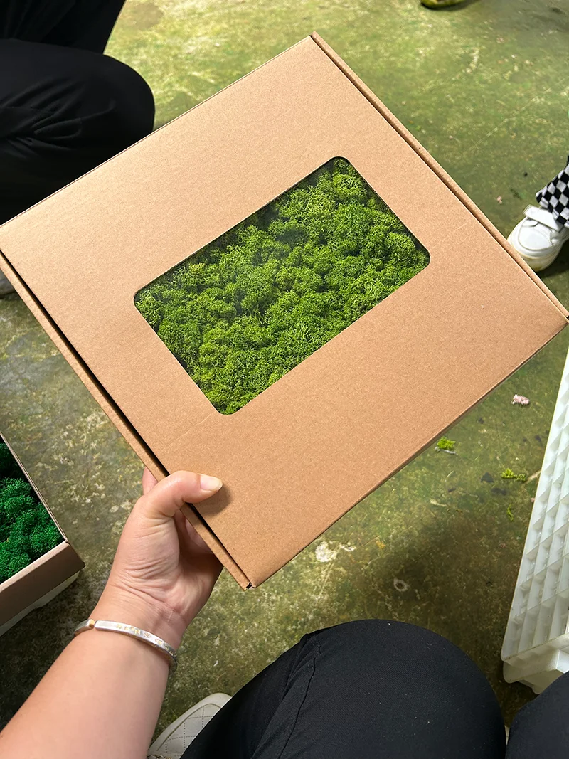 Factory Wholesale Interior Decoration Office Green Wall Panels Reindeer Preserved Moss