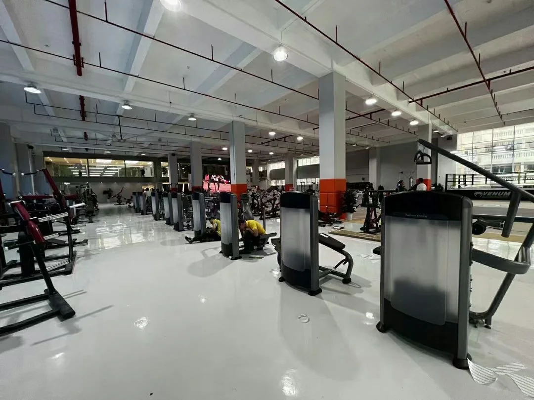 Commercial Use Metal Frame Upright Bike for Sale with Ce Approved