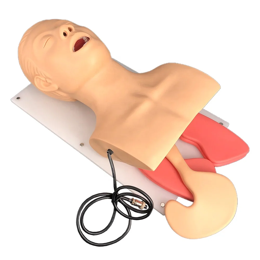Endotracheal Intubation Training Manikin, intubation training device