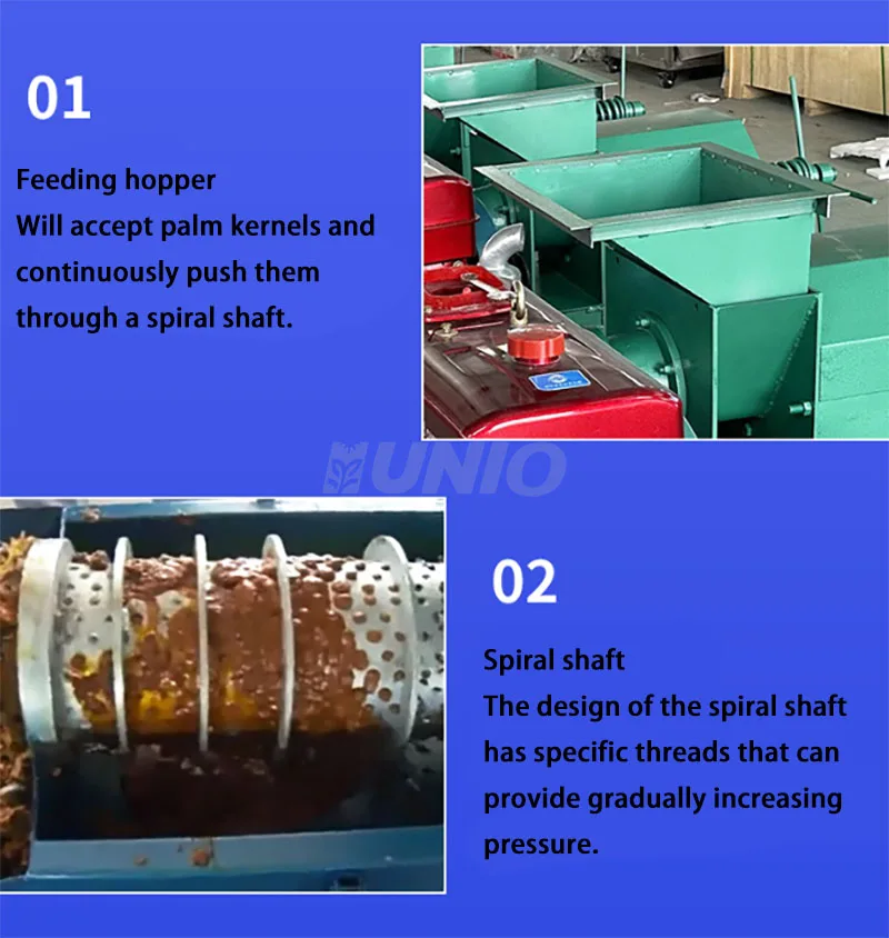 0.5T/H 1T/H palm kernel cracker,palm kernel shell separator machine,palm kernel oil extraction machine