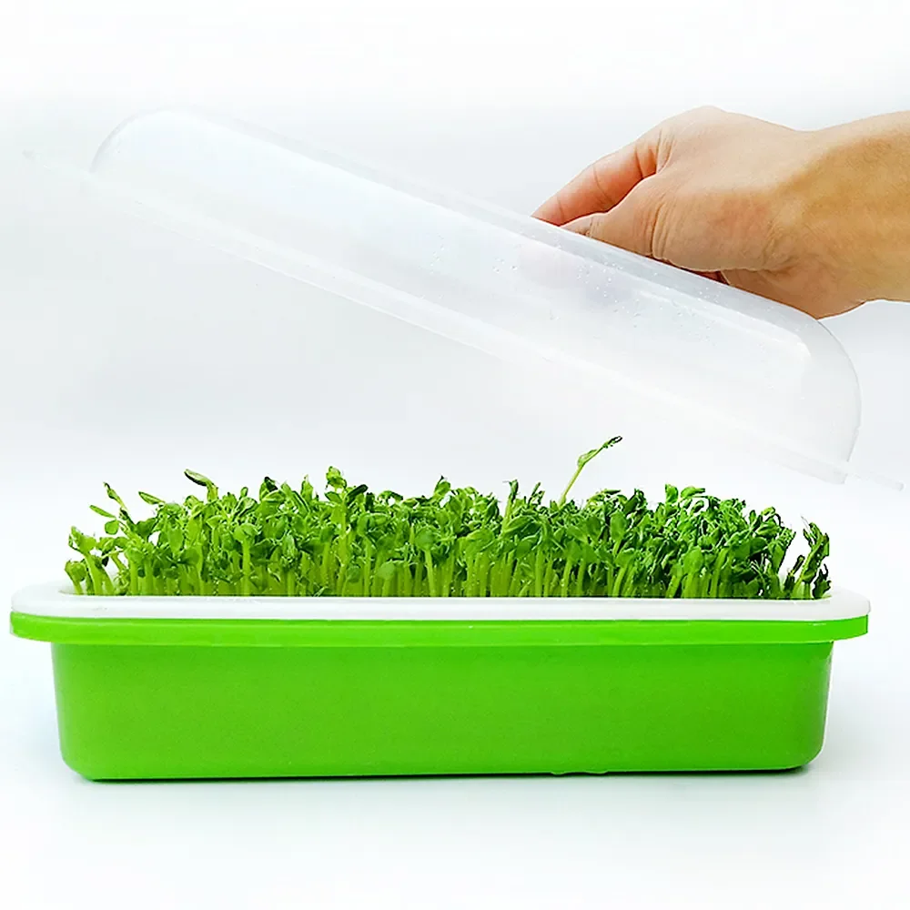 Cheap Price Durable Reusable Plastic Seedling Trays/Grow Tray/Sprout Tray Microgreen Tray