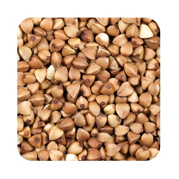 Качественные гречихи 25/50 кг в пакетах или оптом, в наличии