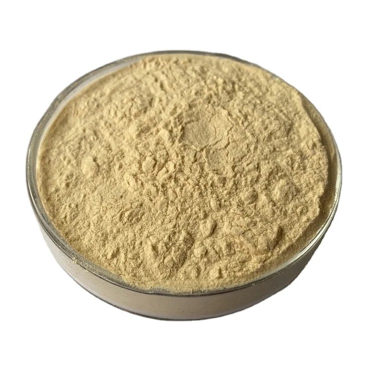 Food additives nattokinase Natto Extract 20000FU/g nattokinase powder nattokinase
