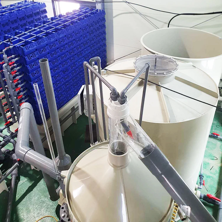 Оптовая цена, комнатный Краб ras live, сельскохозяйственные ящики, краб-домик