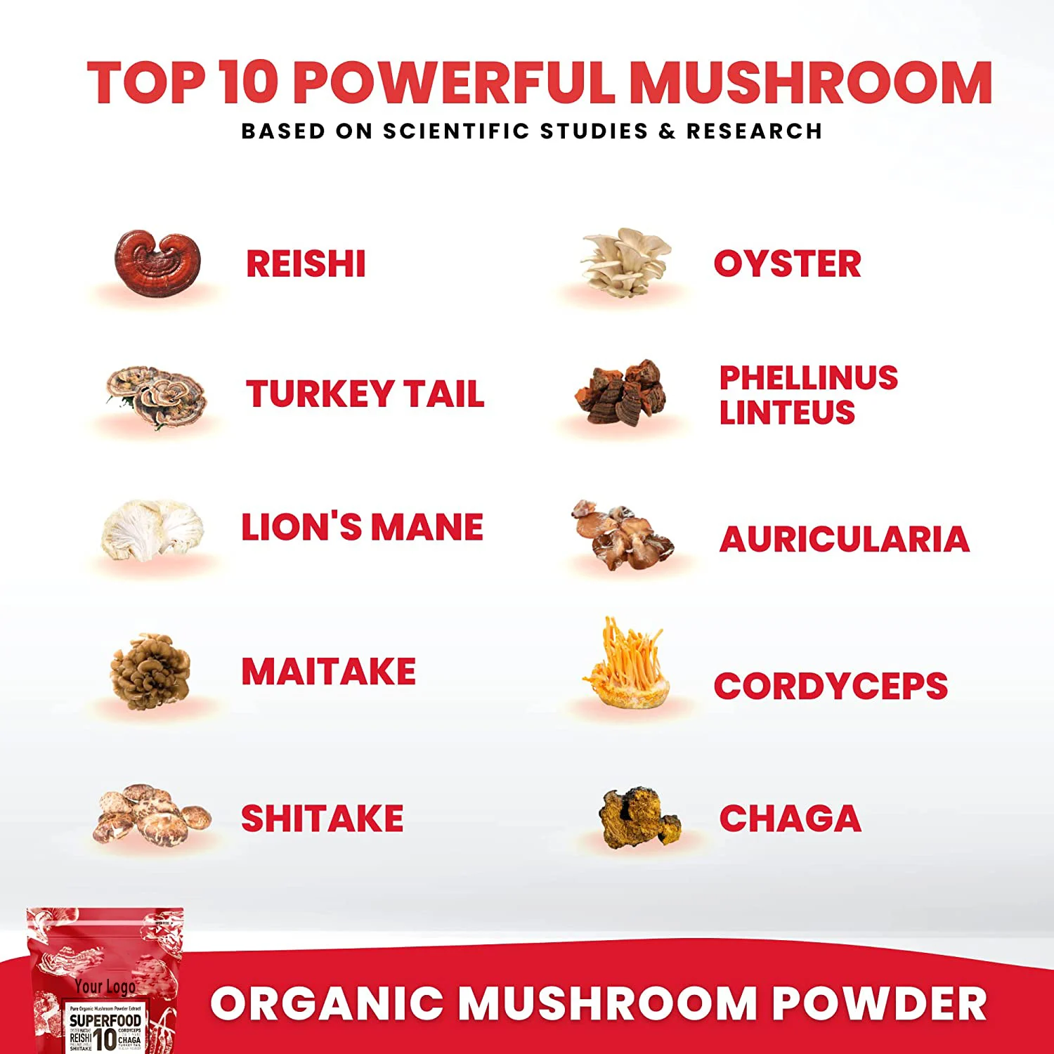 10 In 1 Mushroom Blend Powder 14x Stronger 100% Pure Immunity Booster-Lions Mane, Reishi, Cordyceps, Chaga, Turkey Tail, Maitake