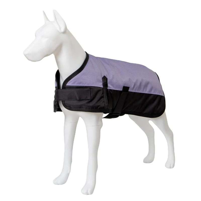 Chinese Cute Fashion Luxury Jacket Wholesales Custom Pet Plain Dog Clothes