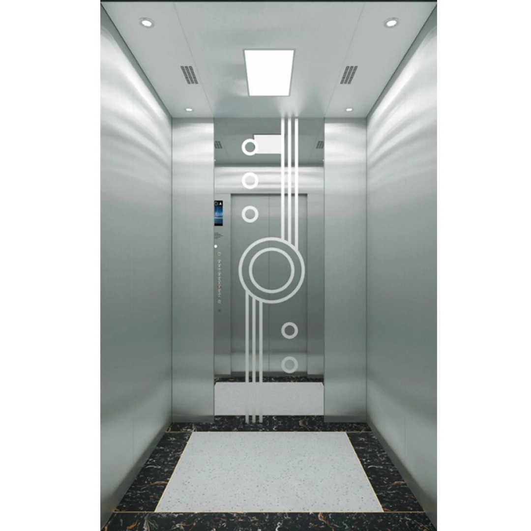 Modern Residential Villa House Elevator Gearless Passenger Lift for Outdoor Use PVC Floors
