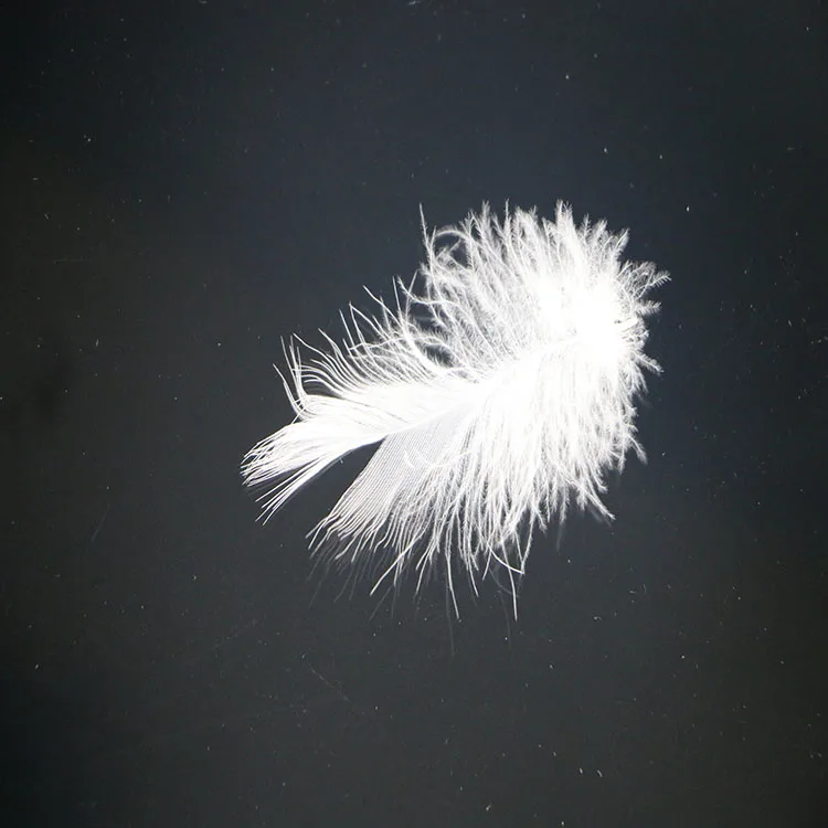 Attractive Price Hight quality Bedding Filling Material 10% Down And Feather Duck Down For Pillow Duvet Filling