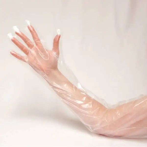 Elbow Poly Gloves Food Service transparent clear OEM disposable embossed powder -free