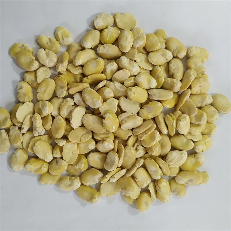 
High Quality Peeled Split Broad Beans Fava Beans Peeled By Machine 