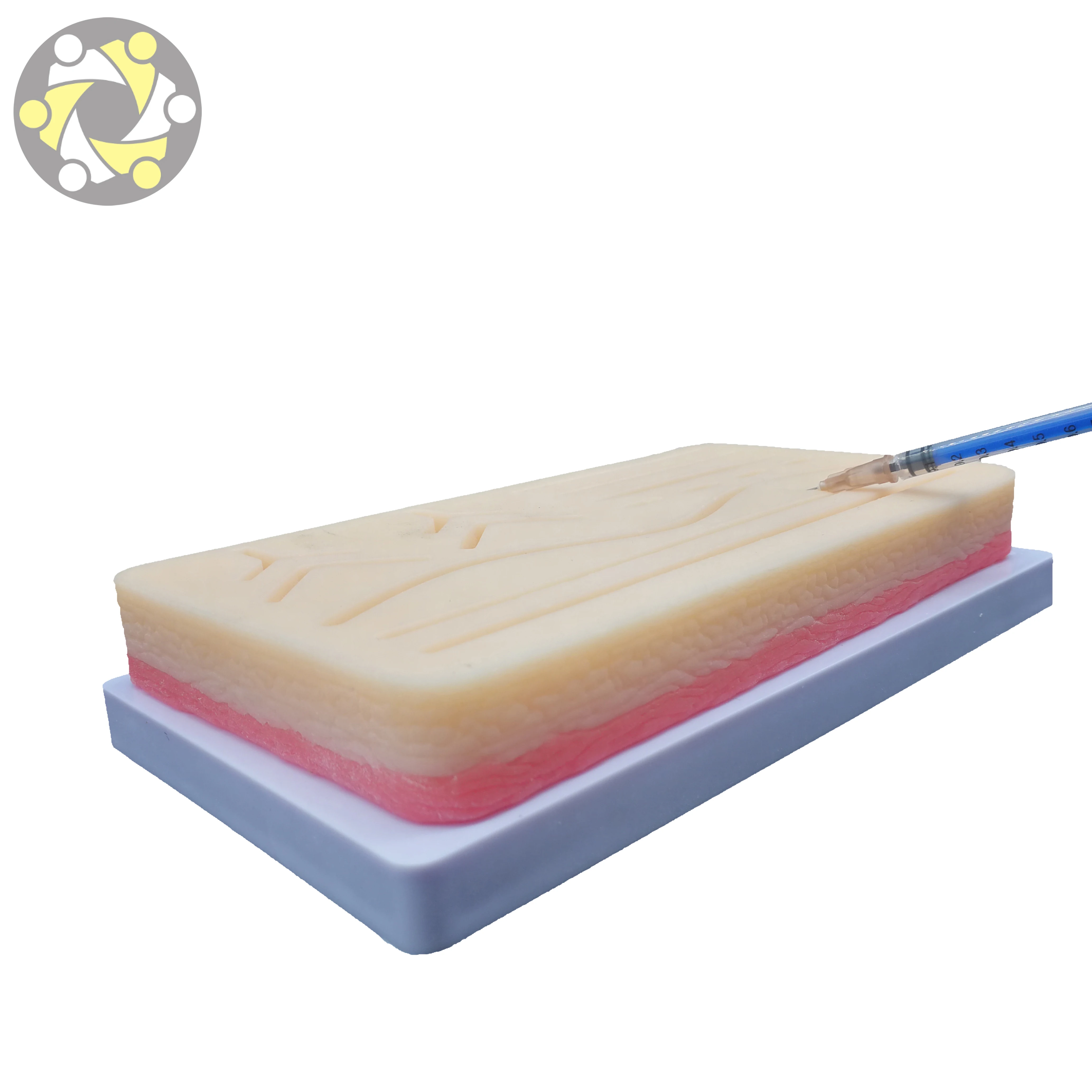 Surgical Suture Pad Skin Practice Kit for Medical Science Nursing Training