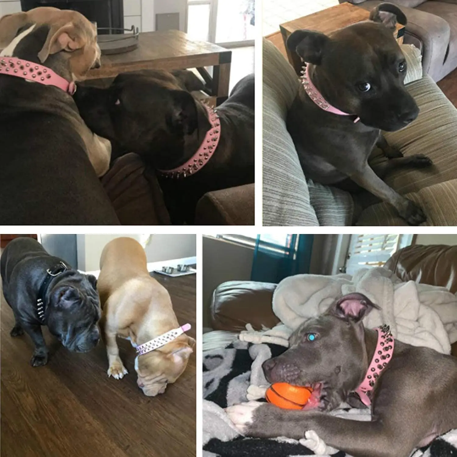 Durable Adjustable Luxury Leather Punk Rivet Spiked Studded Dog Collars For Dog Pet Collar