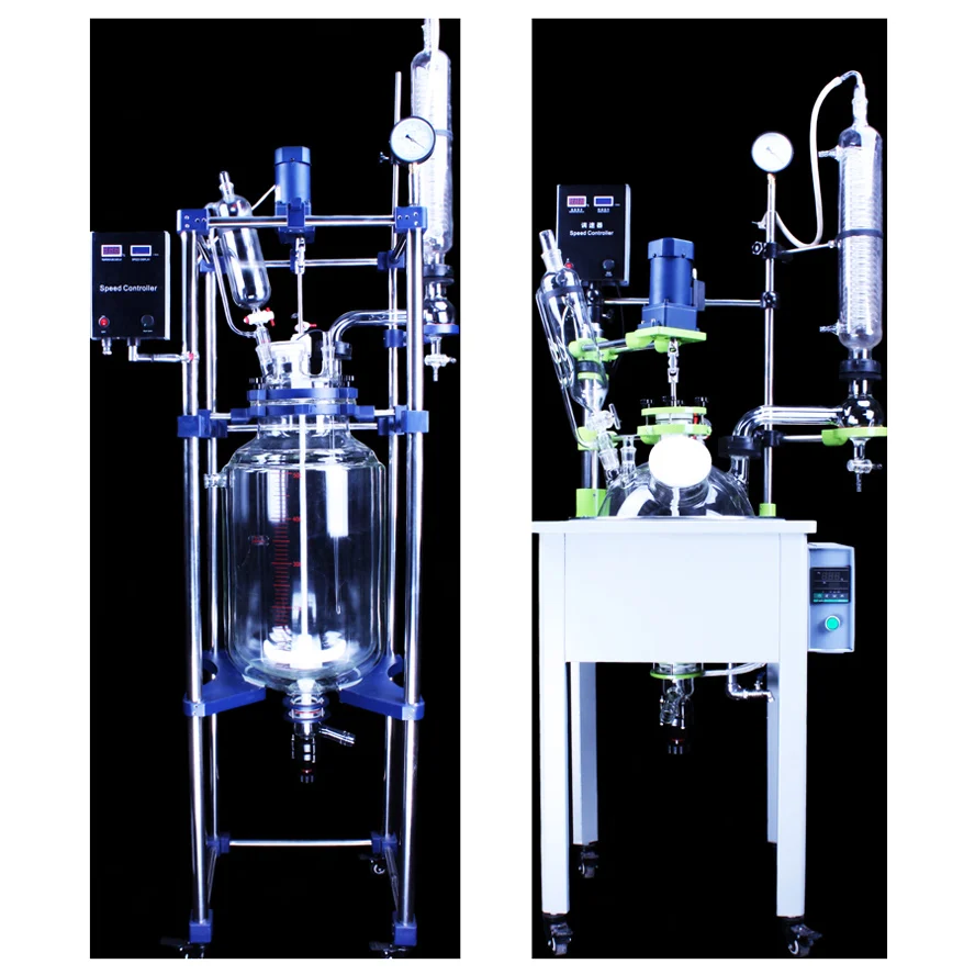 Laboratory Scale Small 5L Mini Glass Chemical Reactor Price with Stirring Stirrer