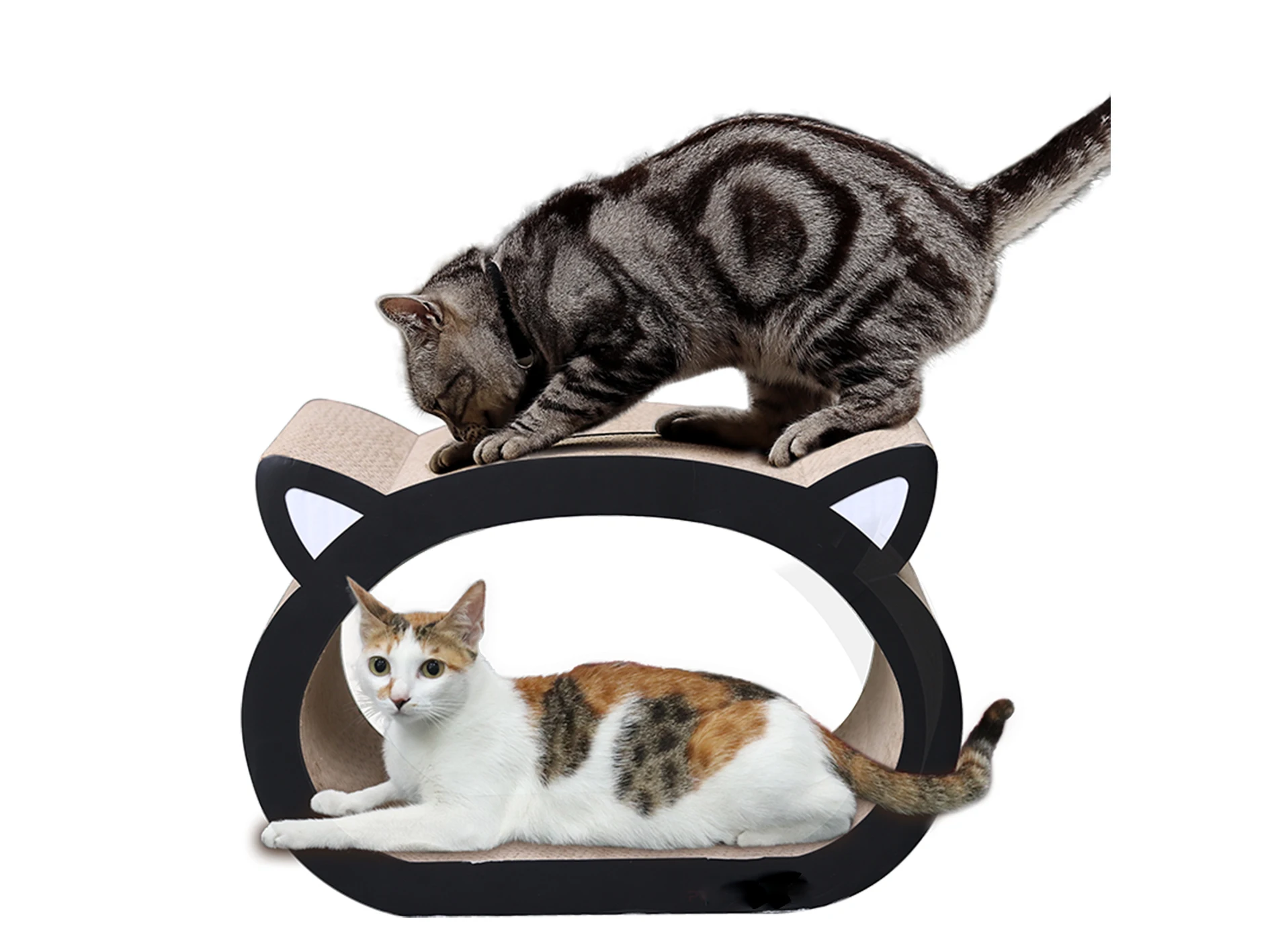 
Interesting Cultivate Feeling Cat Toys Wood at Home 