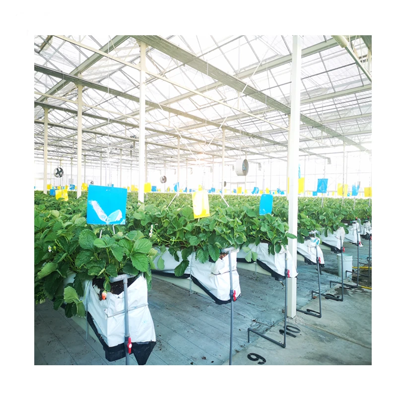 used sale and multi span agricultural greenhouses aeroponic tower garden vertical hydroponic system