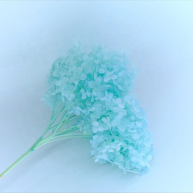 Custom color preserved hydrangea preserved flowers wedding garland floral foam cage