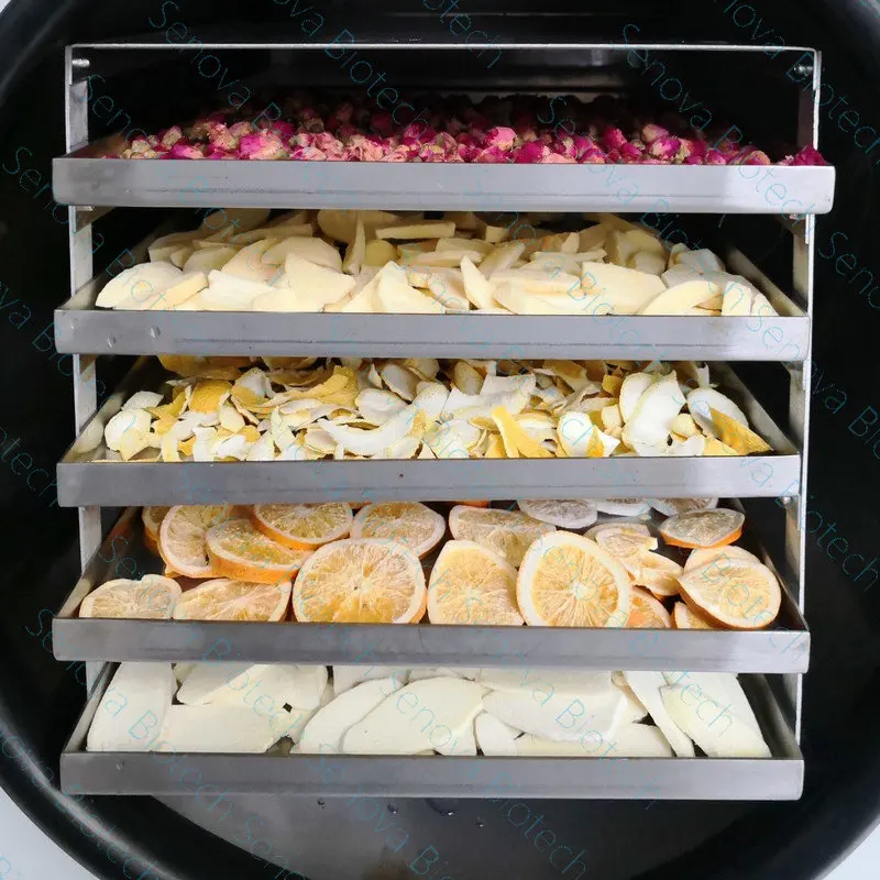 Small Home Business Food Soup Dessert Grain Yeast Vacuum Freeze Drier