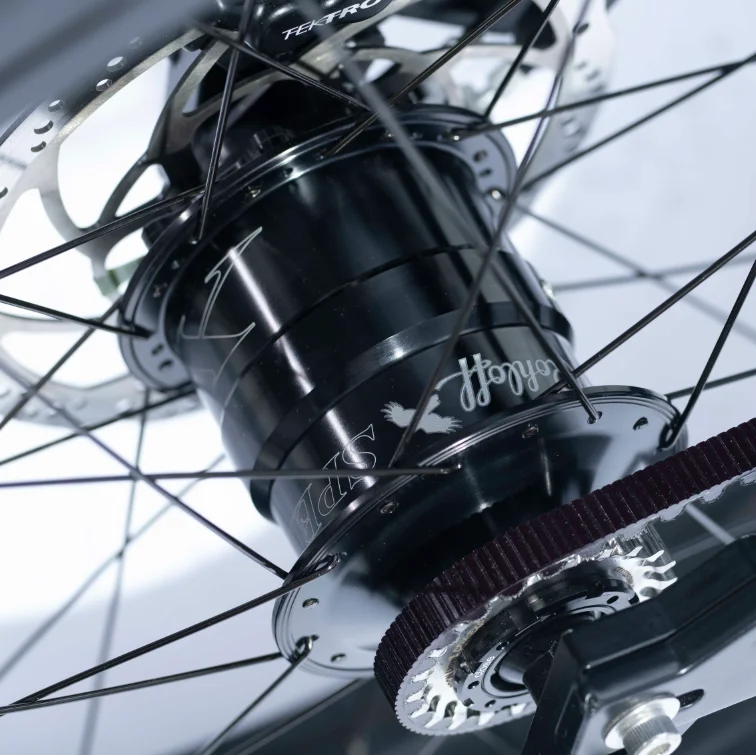 2025 md1000 Dual Batteries Electric Bikes Belt Drive Electric Bike  1000w E bike With Bafang M620 Ultra Motor