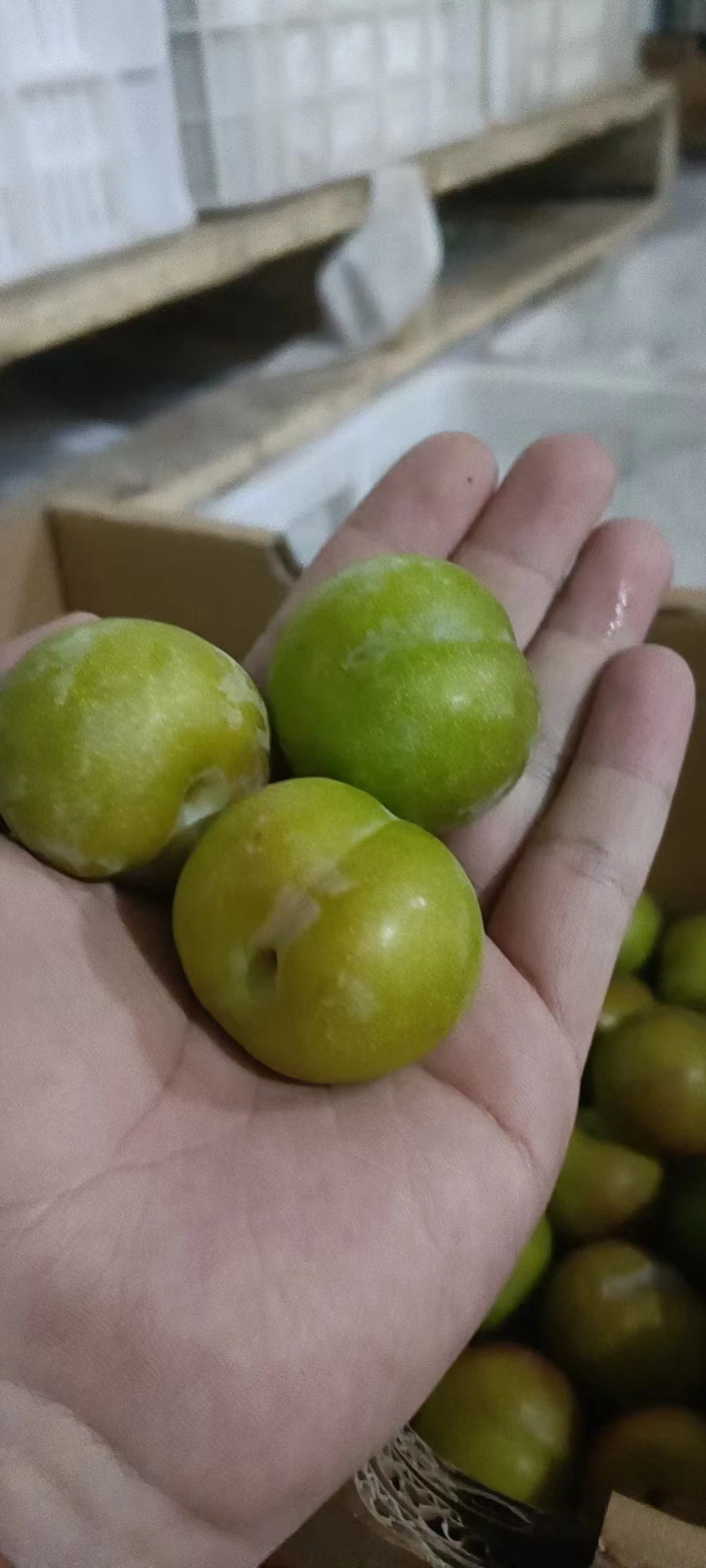 plant growth regulator 1-mcp 1-Methylcyclopropene for vegetable fresh keeping 1 mcp good price