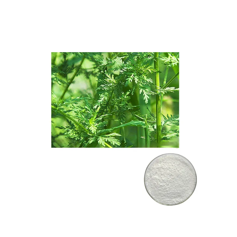 
High Quality Organic Best Selling Artemisinin 99% Artemisinin Powder 