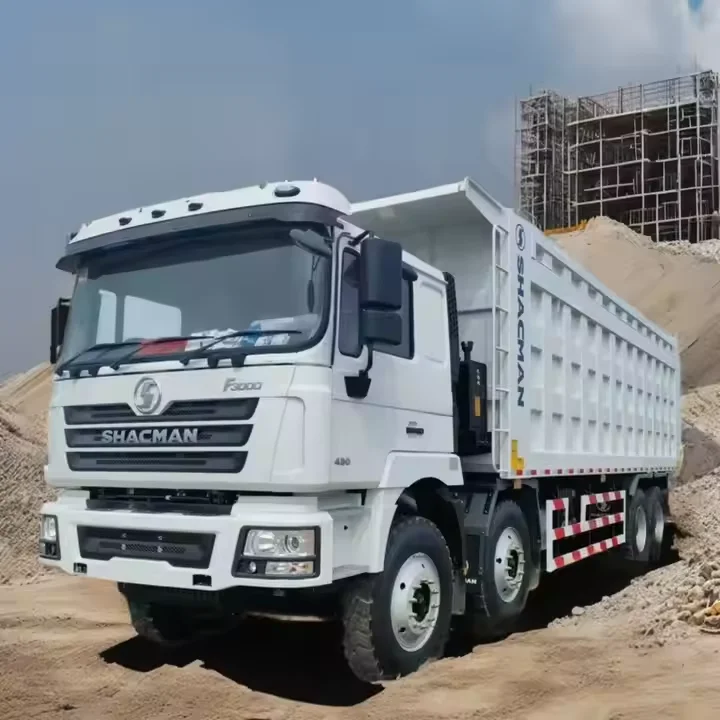 Hot Sale Shacman New Dump Truck F3000 300HP 400HP 8*4 Tipper Dumper with Rollover Lift in Mining