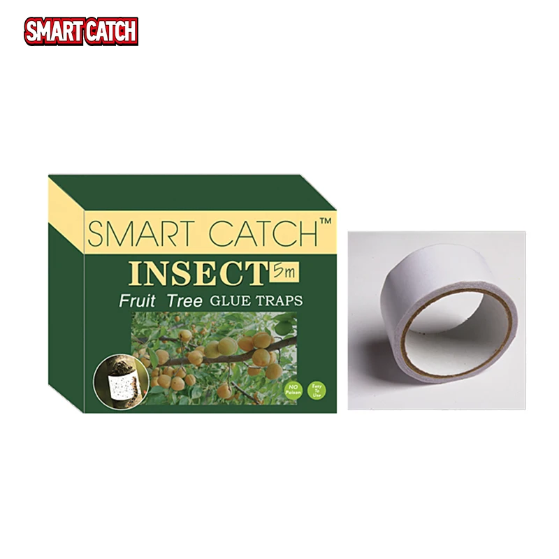 Insect Glue Traps Insect Aphid Moth