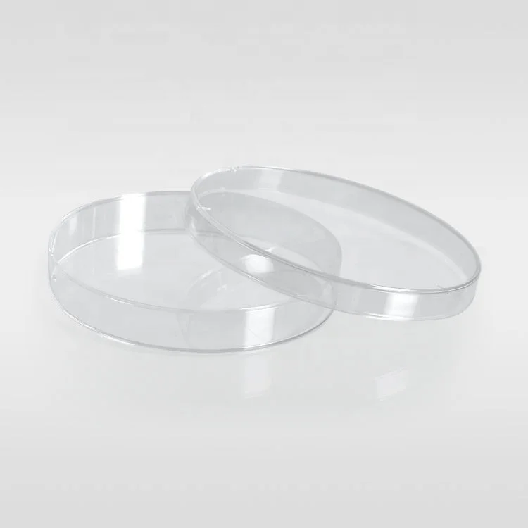 Good price Medical sterile disposable Polystyrene plastic 55 mm Bacteria culture petri dish for hospital school lab