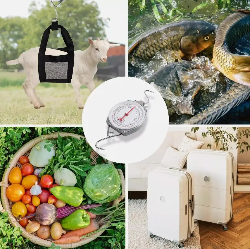 Mechanical weight scale goat scale