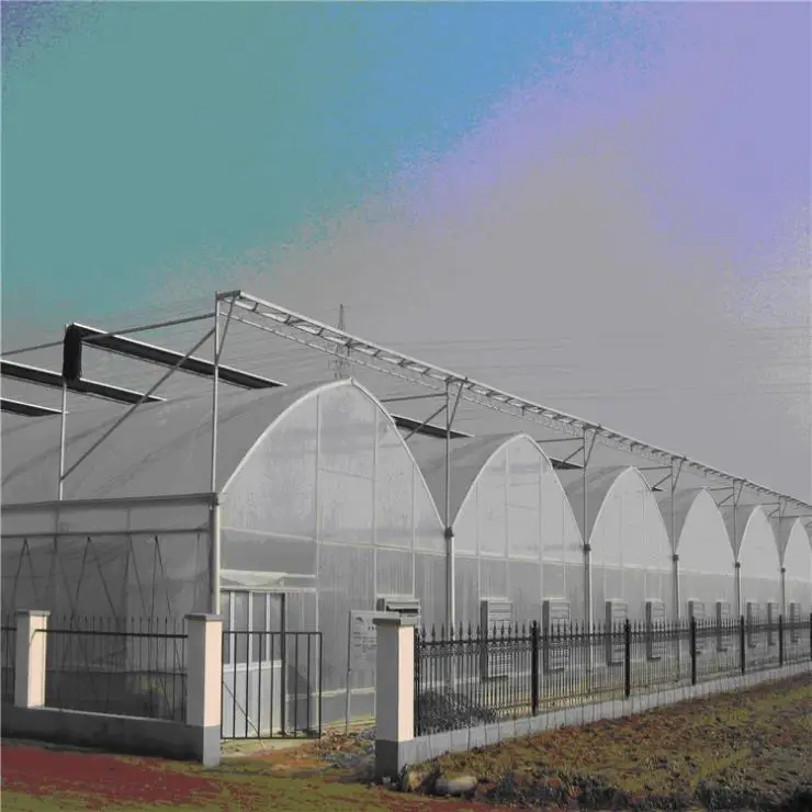 Serre agricole Plastic film greenhouse  system multi-span agricultural greenhouses for sale