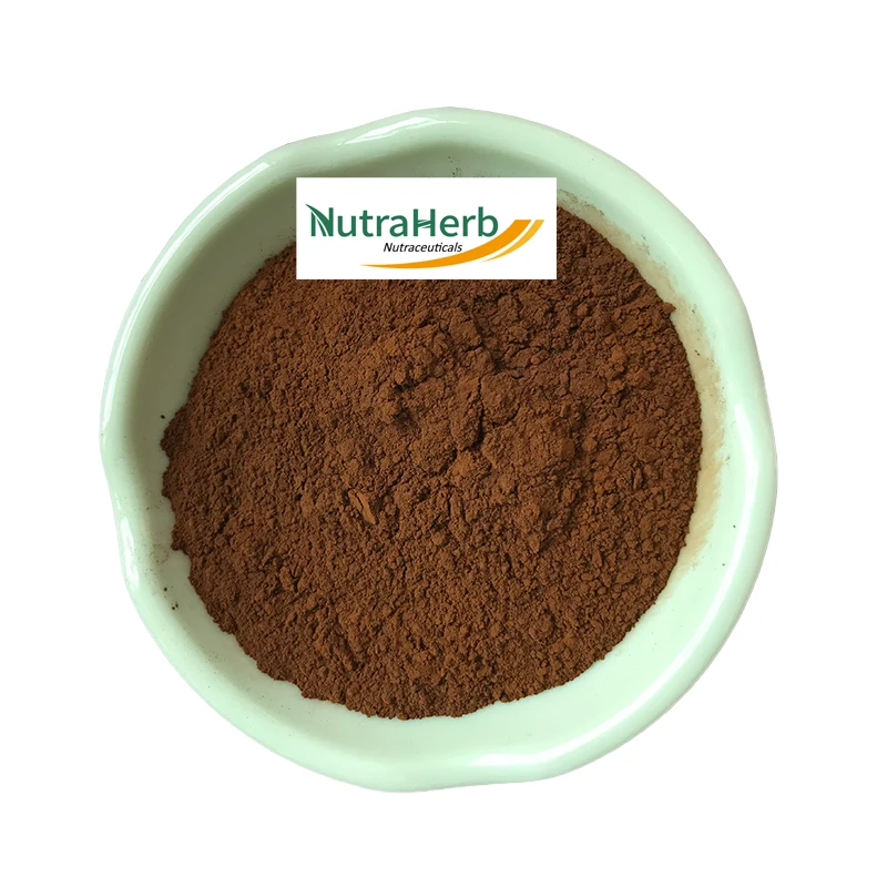 Hot Sell Water Soluble Korean Red Ginseng Root Extract In Stock Panax Ginseng Extract Powder With Free Samples