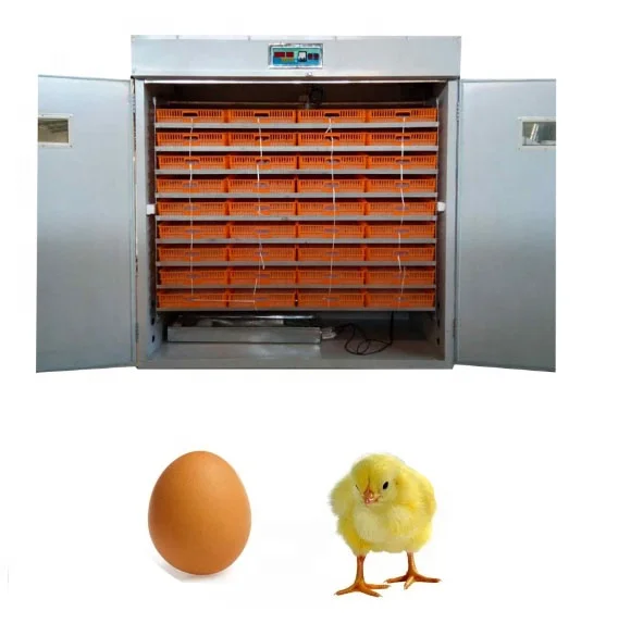 Solar Incubator For Hatching Chicks Fully Automatic Intelligent Dual System
