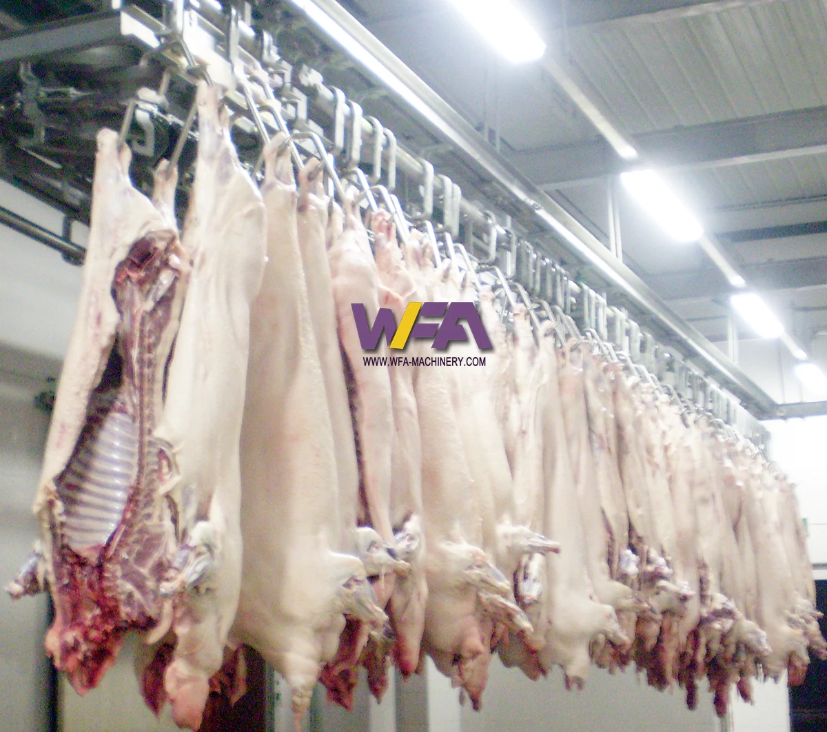 Turnkey Auto Pig Abattoir Machinery Hog Butcher Slaughter House Line With Slaughterhouse Equipment