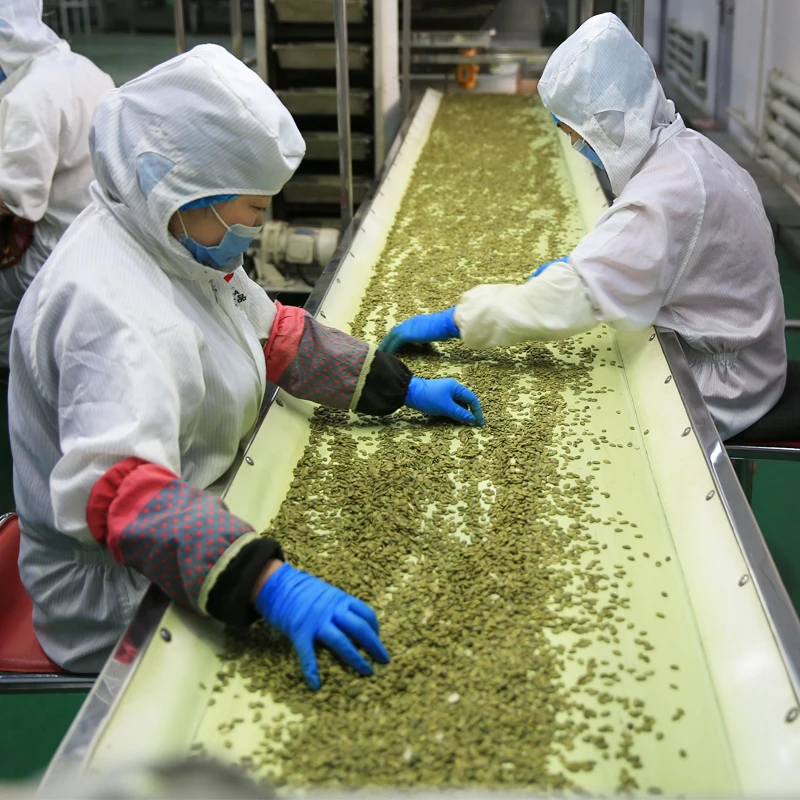 Online Wholesale High Quality Grade AA Shine Skin Pumpkin Seeds Kernels