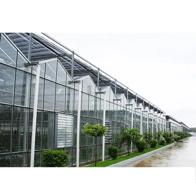 Automatic Glass Greenhouse Strawberry Picking Garden Greenhouse Solar Panel Greenhouse