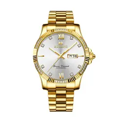 Full Diamond 14K 18K Gold Stainless Steel Mechanical Watch  R7123