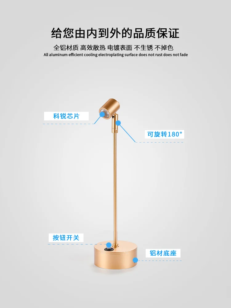 LED rechargeable spotlight lamp1W high pole