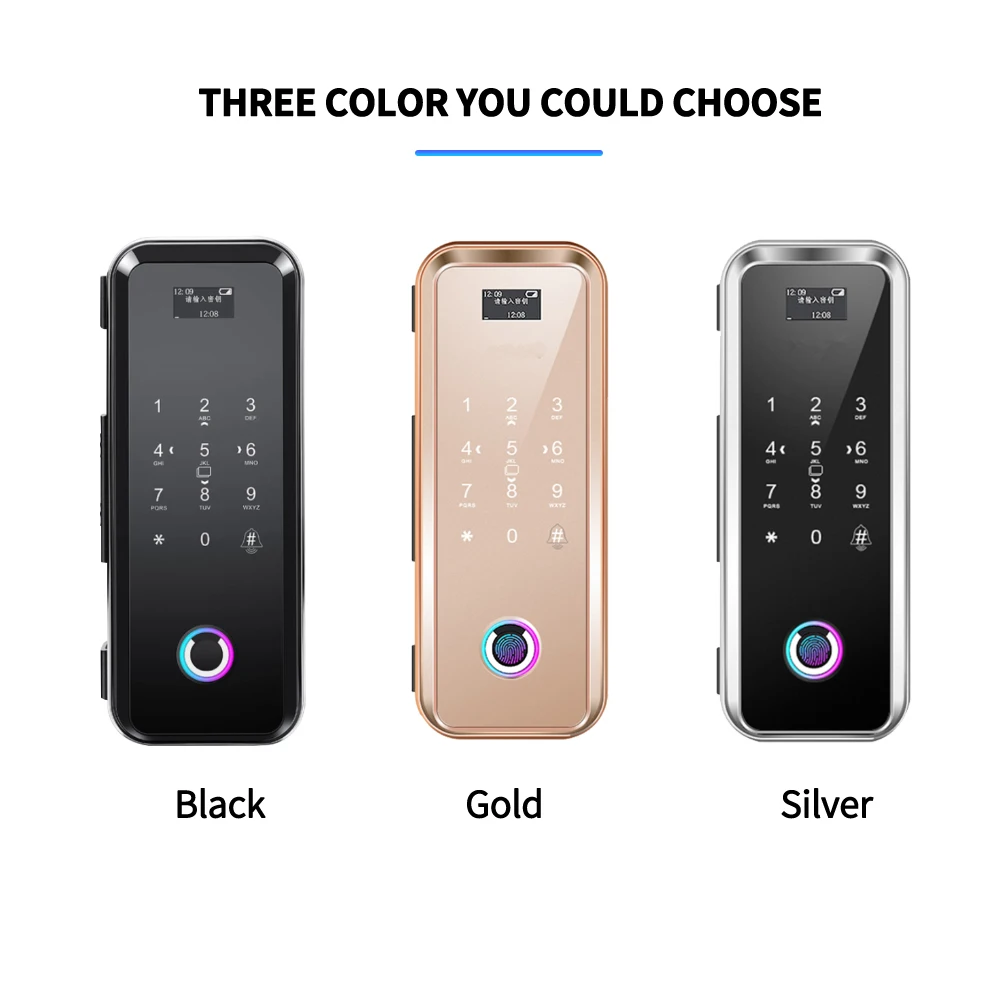 Remote Control Password Hotel Office Stainless Steel Latch Touchpad Smart Gate Glass Door Lock