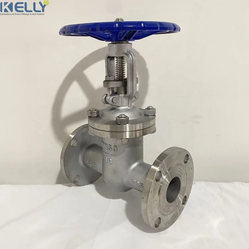DN50 Flanged Gate Valve PN16 /150LBS 304 Stainless Steel