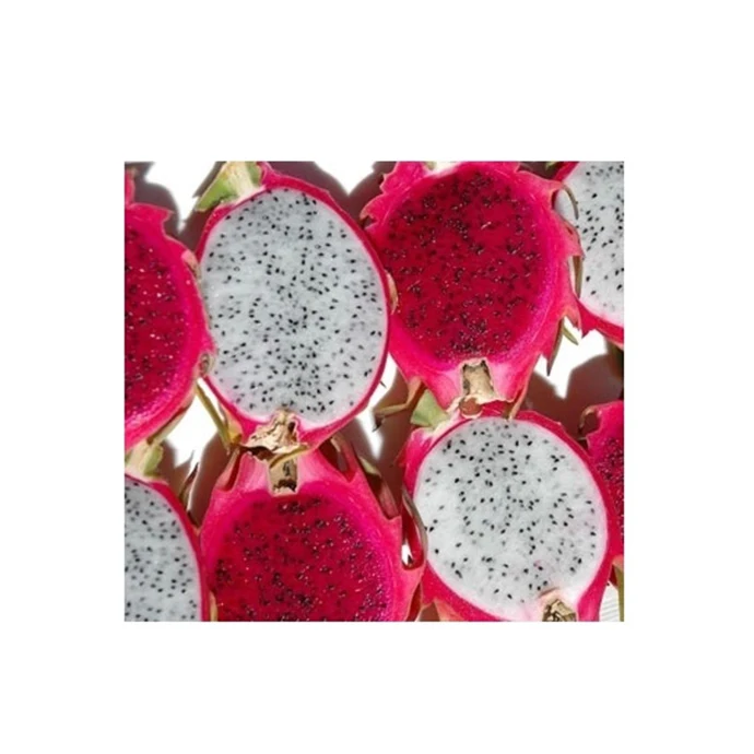 High Quality Nutritious Bulk Quantity Fresh Red/White Dragon Fruit