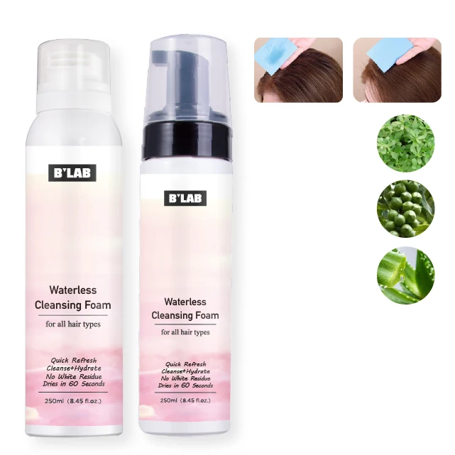 Private Label Waterless Cleansing Foam Cleanse and Smooth Dry Shampoo Mousse