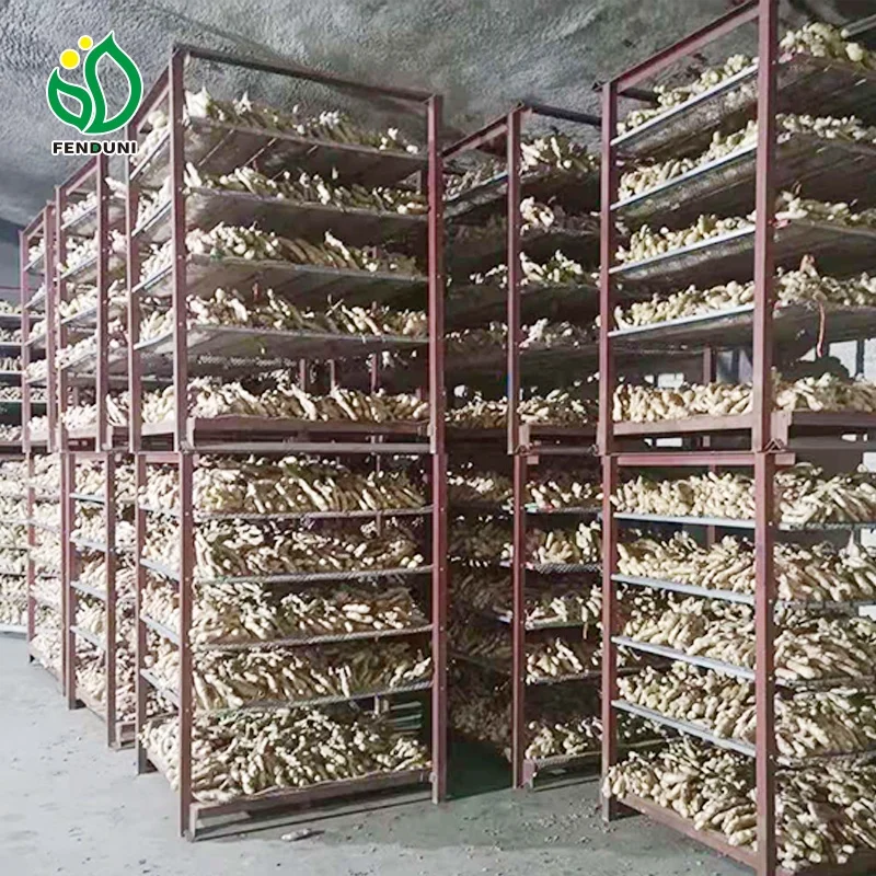 Good service Fresh Ginger And Dried Ginger For Export From China