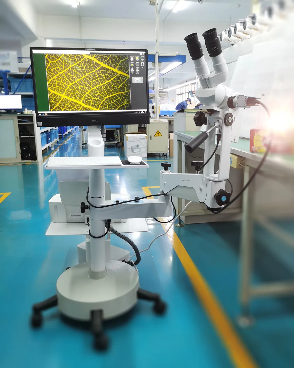 Kernel KN-2200BII Integrated 3D Medical Optical Colposcope for Gynecology Vaginal Diagnosis Auto-focus Digital Colposcope