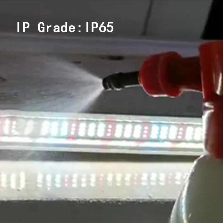 
New Product Ideas LM301b Grow Light Full Spectrum LED Grow Light For Hydroponic Grow Tent 