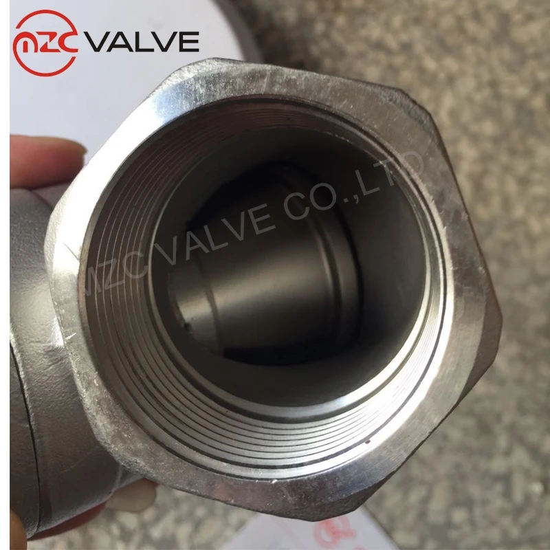 CF8M Y type BSP end check valve with 800WOG